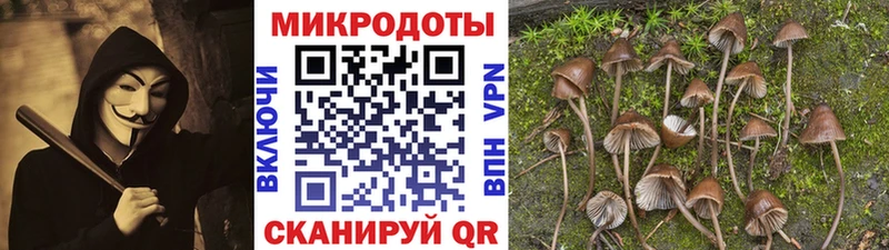 цены   Бобров  Псилоцибиновые грибы прущие грибы 